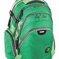 Coocazoo Schulrucksack EvverClevver Green Spring