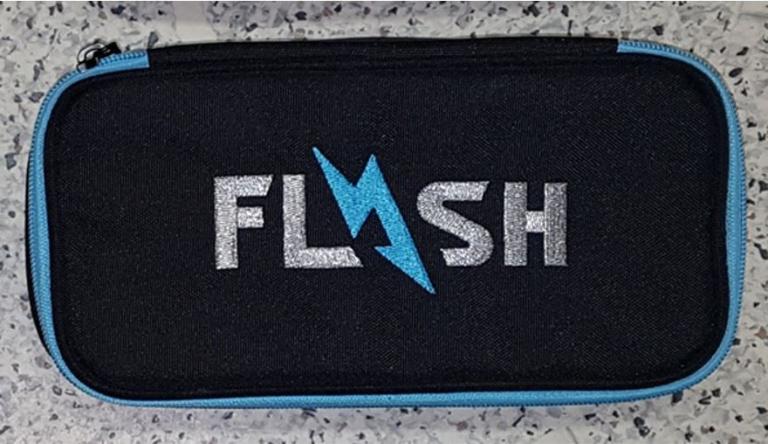 Racoon Flash sky Case
