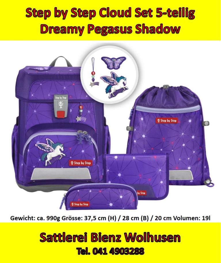 STEP BY STEP Dreamy Pegasus Shadow CLOUD SET 5-TEI