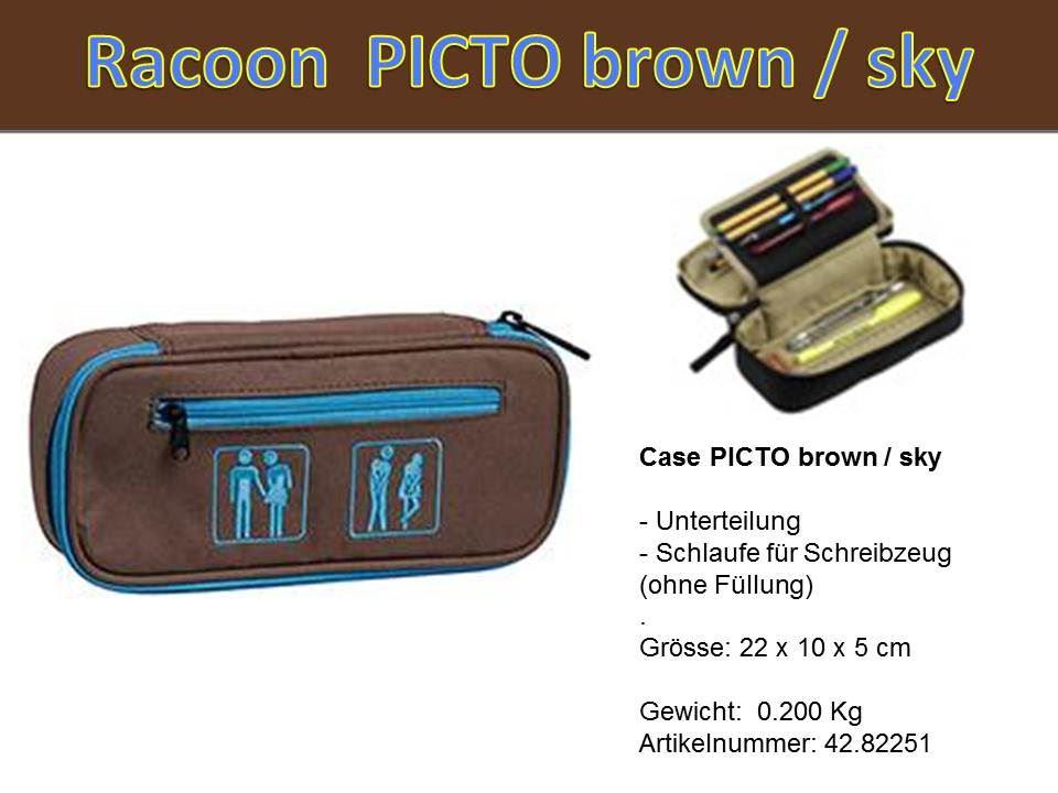 Racoon Case Picto brown sky