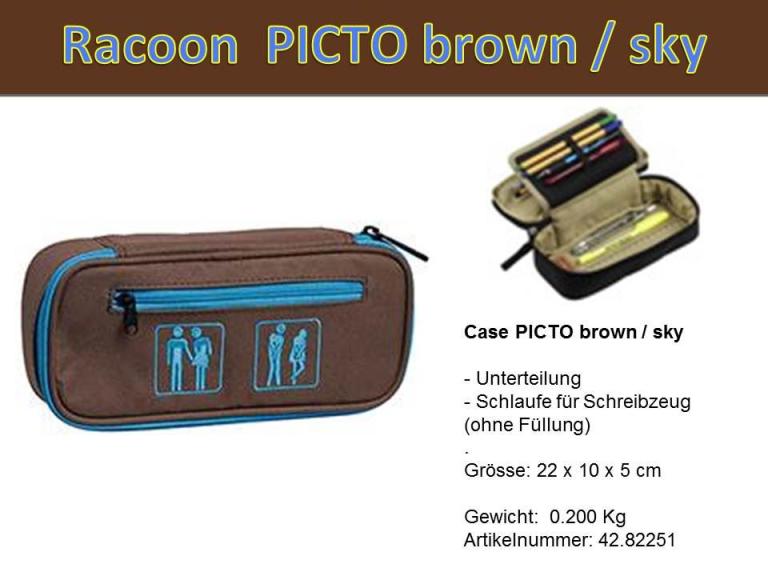 Racoon Case Picto brown sky